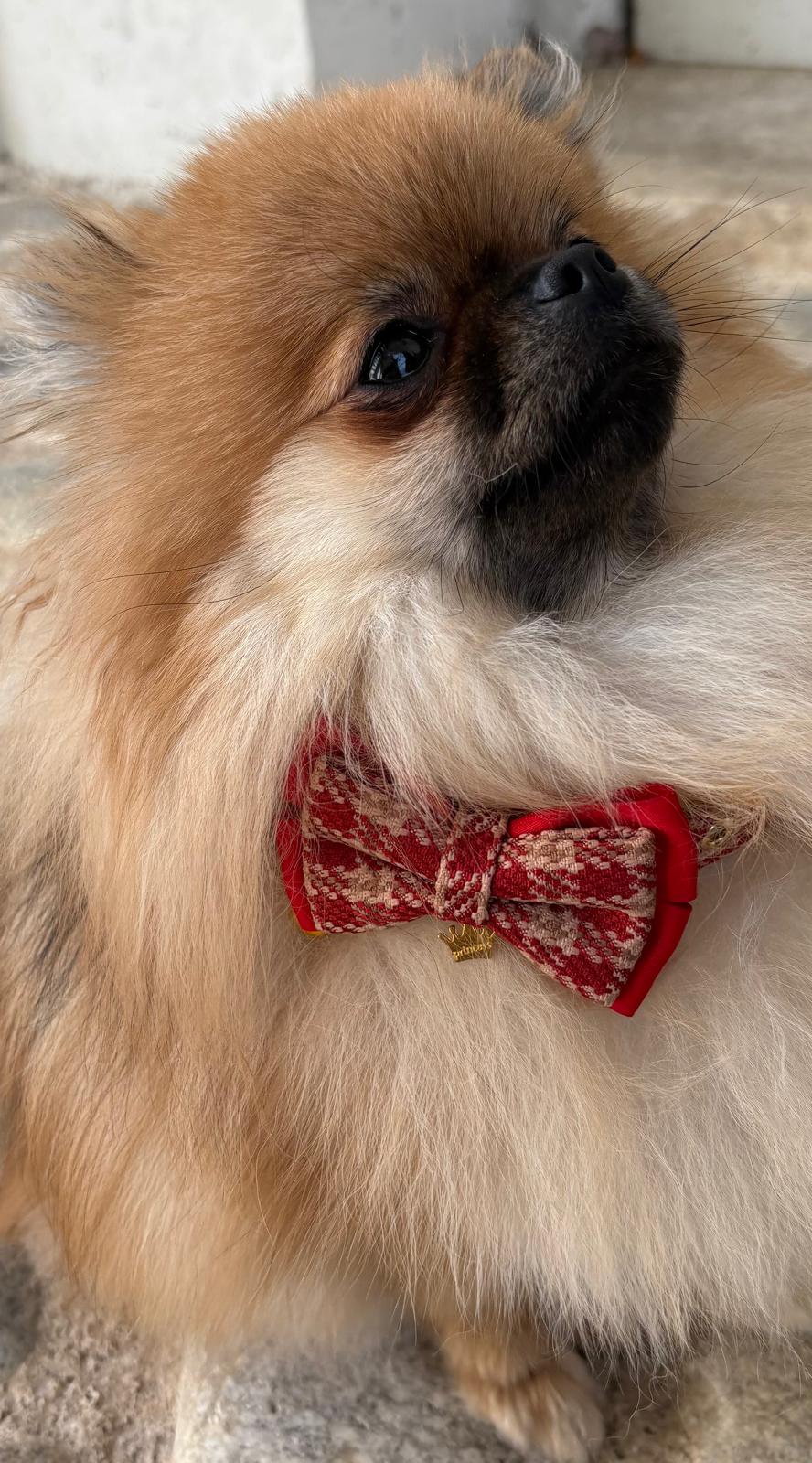 ✨ Collier et laisse pour chien – Carreaux rouges ou verts, personnalisables 🐾