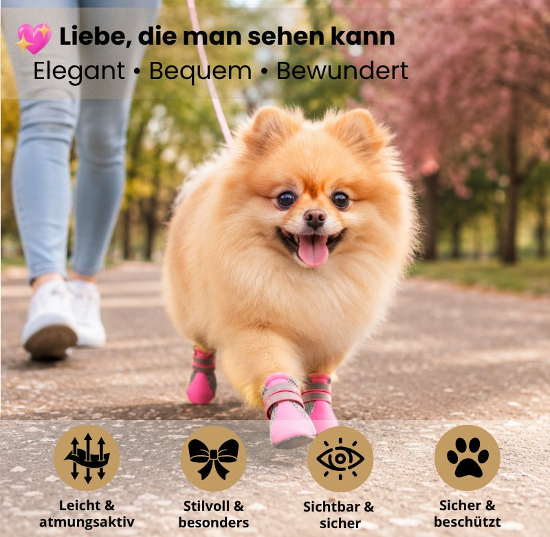 🐾 Outdoor Hundeschuhe – Sicher, bequem & stylisch unterwegs