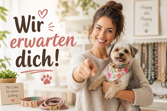 Minibell beim Tag des Hundes