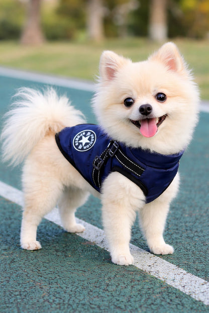 Minibell CozyShield – Veste imperméable pour chien avec harnais intégré
