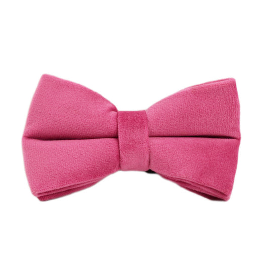 Chic écossais ou velours rose : Kit d'accessoires premium : collier, laisse, nœud papillon, distributeur de sacs à déjections - Étui