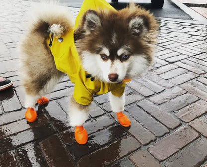 🌦️ Hunderegenjacke im klassischen British Style – Wasser- & Winddicht