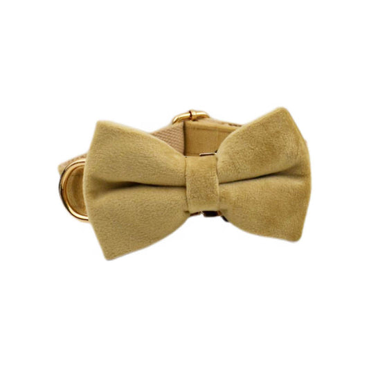 Velvet Edition: Classy Velvet Set for Creative Dog Outfits