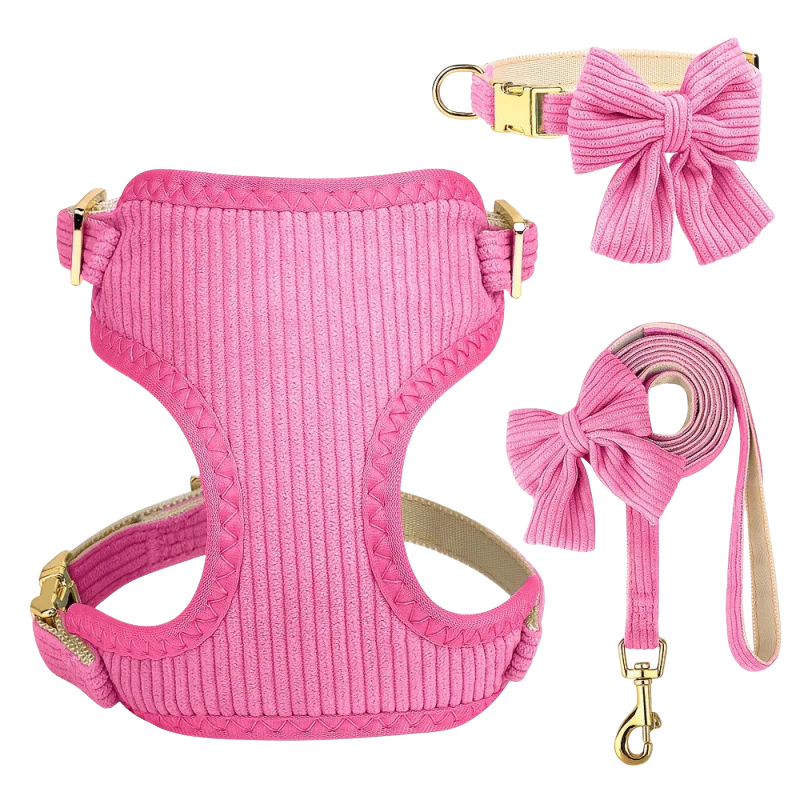 Chic & Sweet – Das stylische Geschirr-Set für deinen Liebling