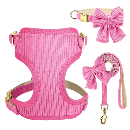 Chic & Sweet – Das stylische Geschirr-Set für deinen Liebling