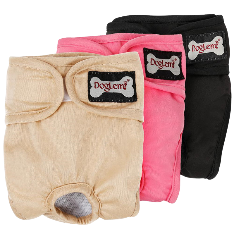 Culotte