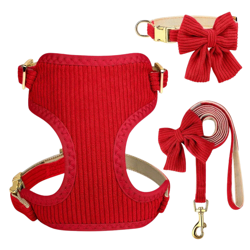 Chic & Sweet – Das stylische Geschirr-Set für deinen Liebling