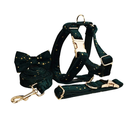 Ensemble pour chien Golden Star Elegance