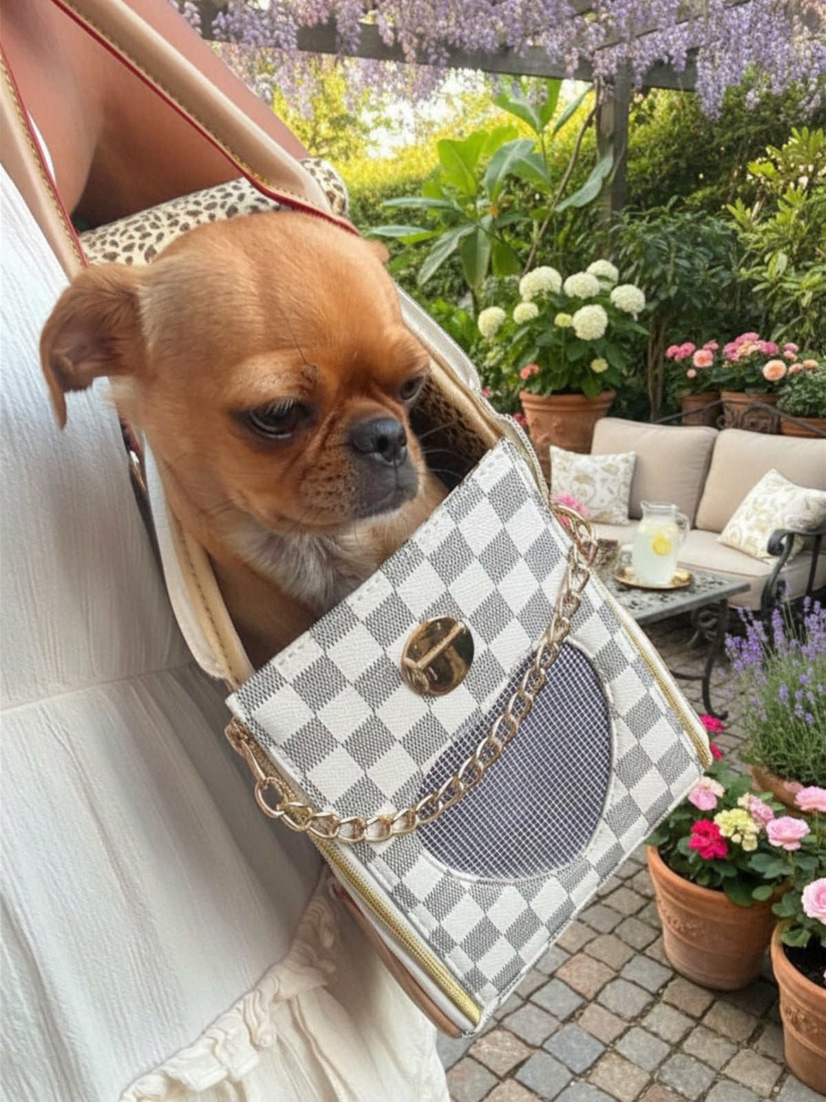 Hundetasche „City Chic“ – Stilvoll unterwegs mit deinem Liebling
