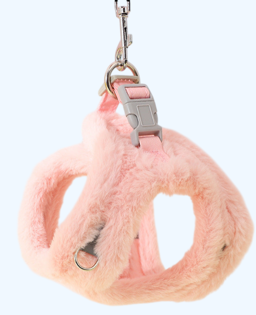 Hundeleine & Plüsch-Brustgeschirr – Warmes Teddy-Set für kleine Hunde