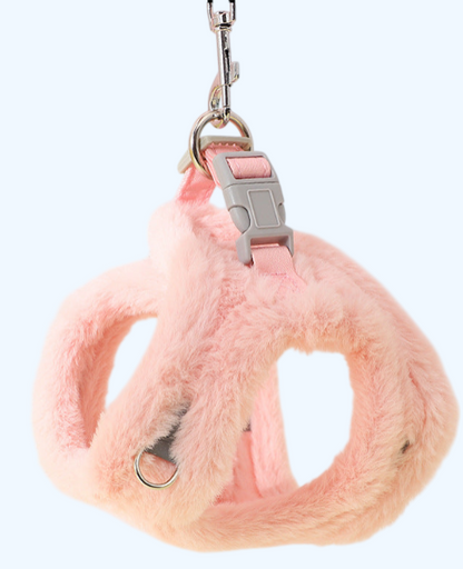 Hundeleine & Plüsch-Brustgeschirr – Warmes Teddy-Set für kleine Hunde