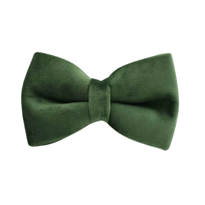 Velvet Edition: Edles Samtset für kreative Hunde-Outfits