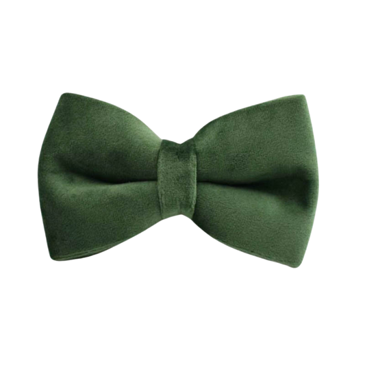 Velvet Edition: Edles Samtset für kreative Hunde-Outfits