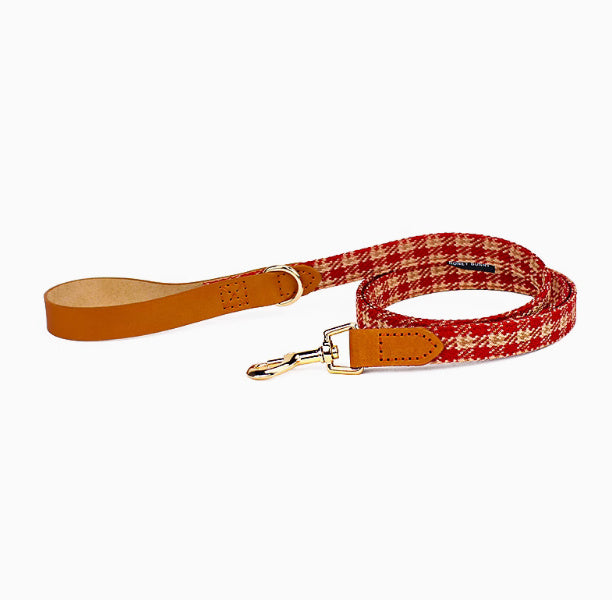 🎄 Christmas Edition – Stylisches Halsband & Leine