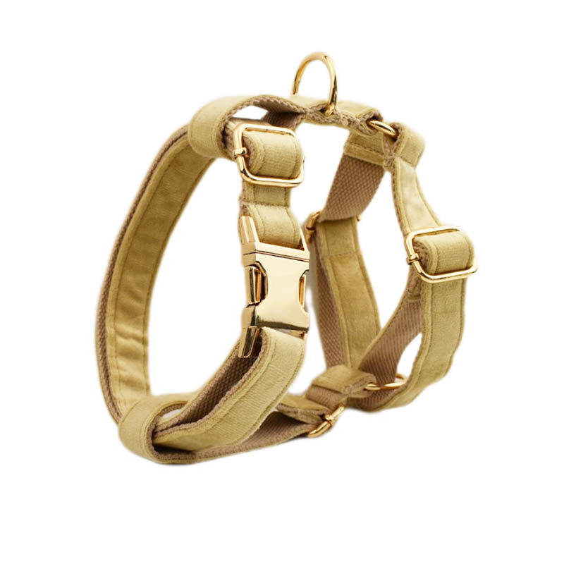 🐾 Velvet Edition: Edles Samtset für kreative Hunde-Outfits