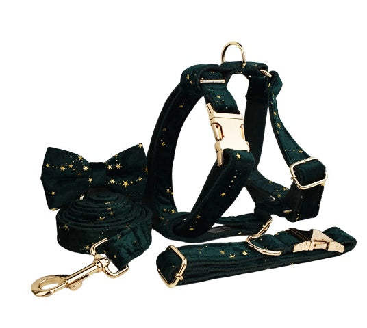 Golden Star Elegance Hundeset