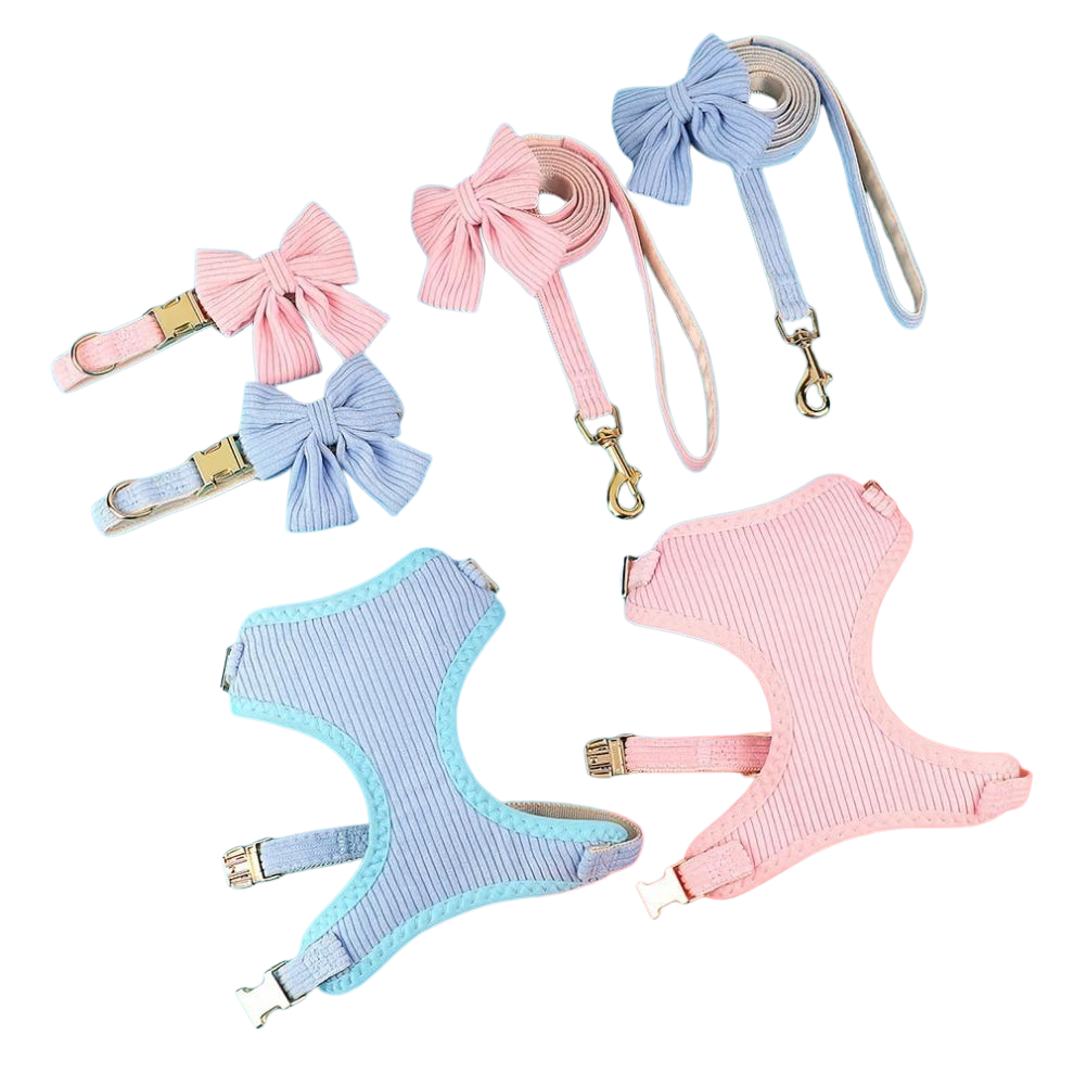Chic & Sweet – Das stylische Geschirr-Set für deinen Liebling