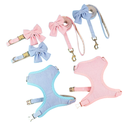 Chic & Sweet – Das stylische Geschirr-Set für deinen Liebling