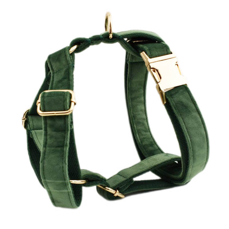 🐾 Velvet Edition: Edles Samtset für kreative Hunde-Outfits