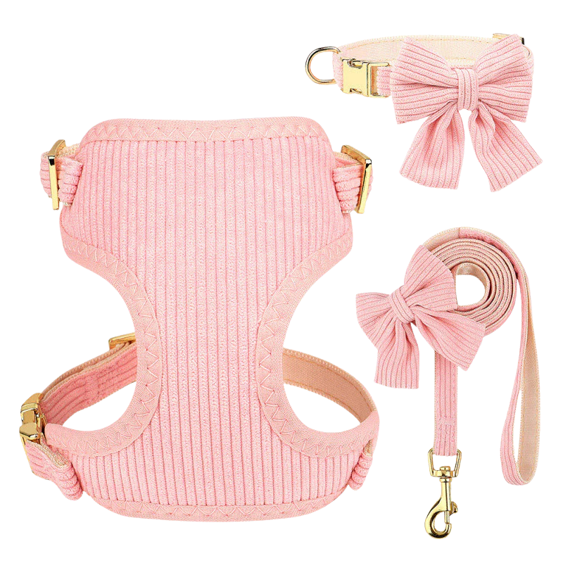 Chic & Sweet – Das stylische Geschirr-Set für deinen Liebling