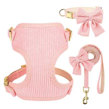 Chic & Sweet – Das stylische Geschirr-Set für deinen Liebling
