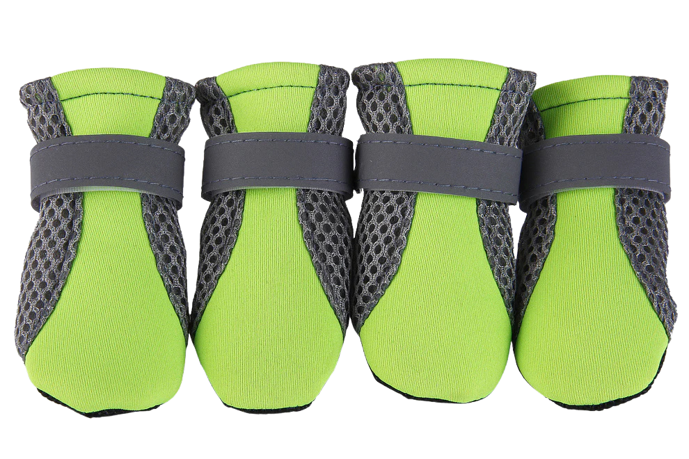 🐾 Outdoor Hundeschuhe – Sicher, bequem & stylisch unterwegs