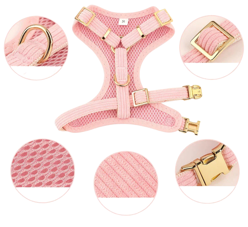 Chic & Sweet – Das stylische Geschirr-Set für deinen Liebling