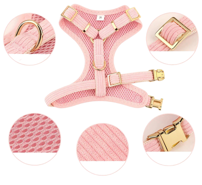 Chic & Sweet – Das stylische Geschirr-Set für deinen Liebling