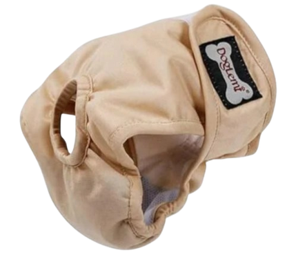 Culotte