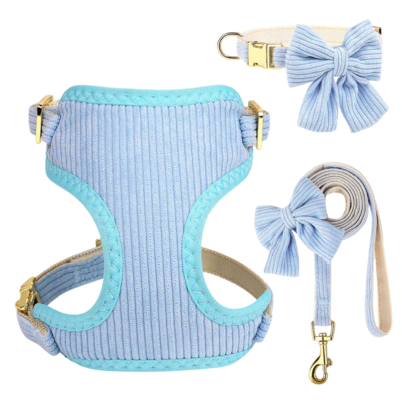 Chic & Sweet – Das stylische Geschirr-Set für deinen Liebling