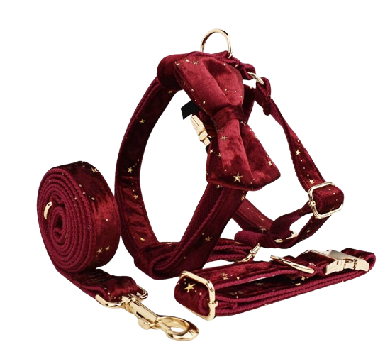 Ensemble pour chien Golden Star Elegance