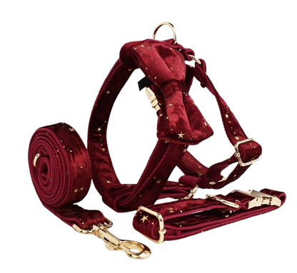 Ensemble pour chien Golden Star Elegance
