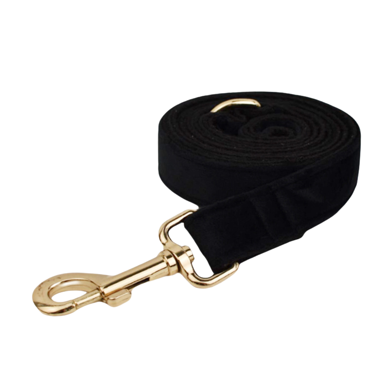 Velvet Edition: Edles Samtset für kreative Hunde-Outfits