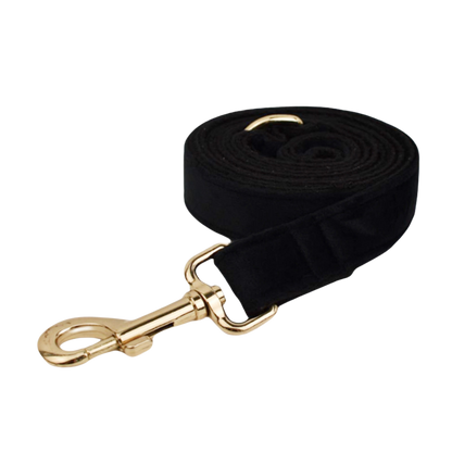 Velvet Edition: Edles Samtset für kreative Hunde-Outfits