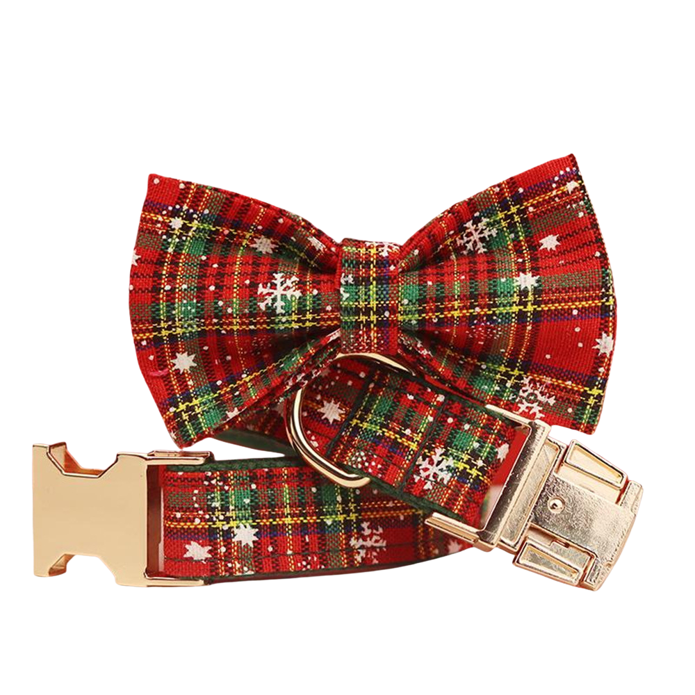 Pfotenliebe – Halsband, Leine, Schleife & Geschirr
