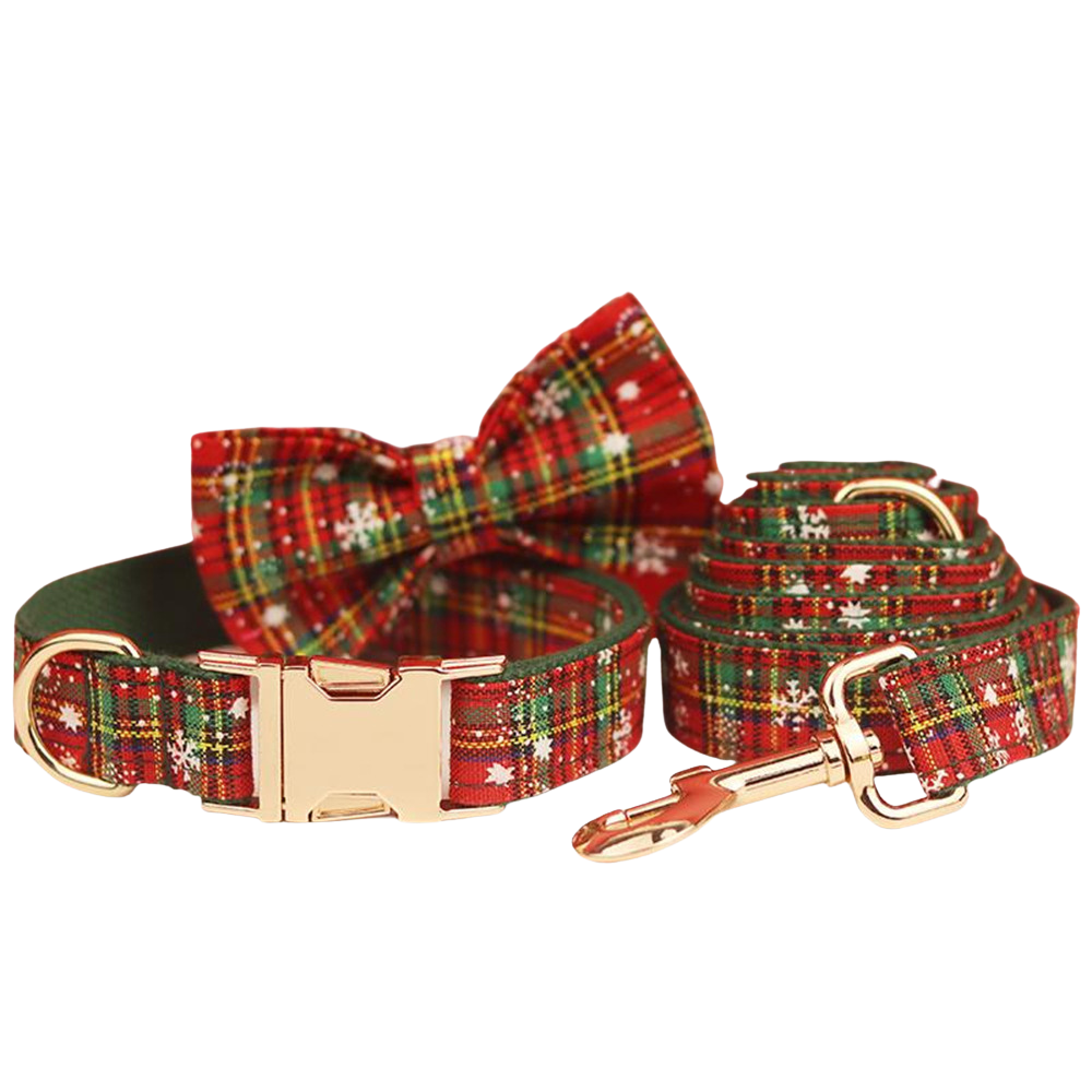 Pfotenliebe – Halsband, Leine, Schleife & Geschirr