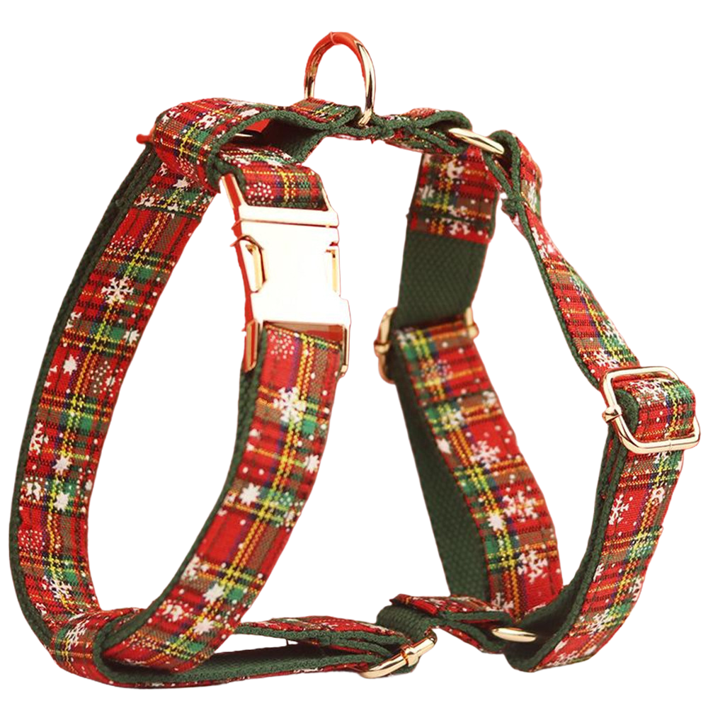 Pfotenliebe – Halsband, Leine, Schleife & Geschirr