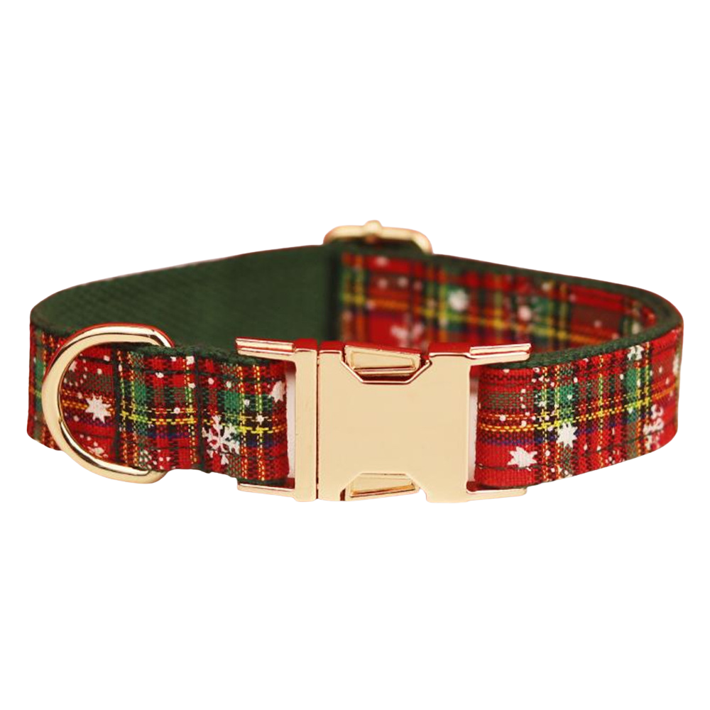 Pfotenliebe – Halsband, Leine, Schleife & Geschirr