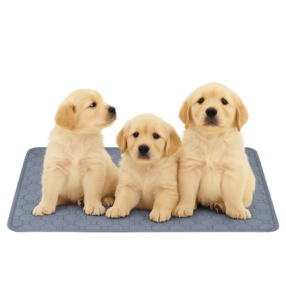 KuschelSchutz Hundepad – wasserdichte & waschbare 4-Schicht-Unterlage 🐾