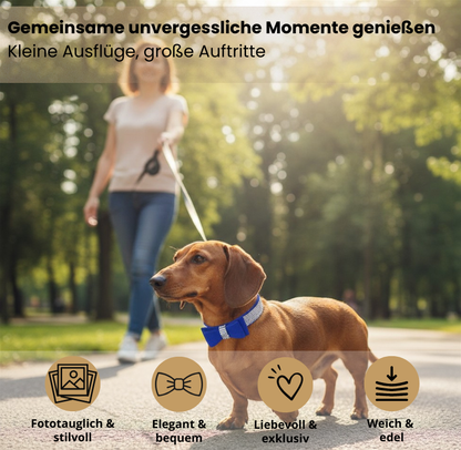 Hundehalsband klein mit Schleife – Wildleder-Optik, elegant & verspielt