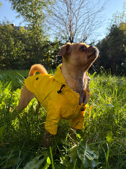 🌦️ Hunderegenjacke im klassischen British Style – Wasser- & Winddicht