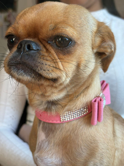 Hundehalsband klein mit Schleife – Wildleder-Optik, elegant & verspielt