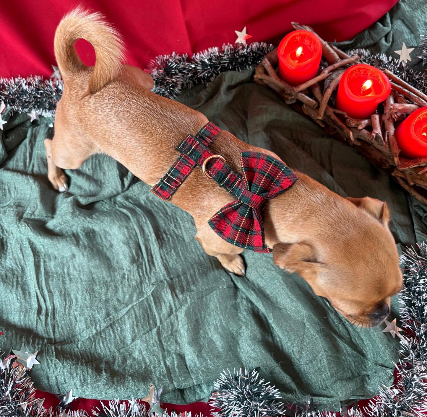 🎁 Premium Weihnachtset „Festive Charm“ – Stilvolle Eleganz für die Feiertage