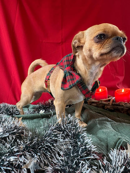 🎁 Premium Weihnachtset „Festive Charm“ – Stilvolle Eleganz für die Feiertage