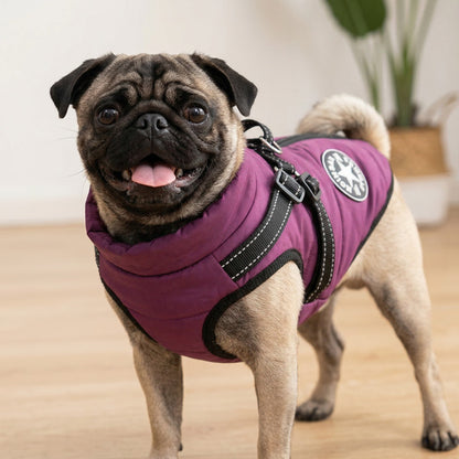 Minibell CozyShield – Veste imperméable pour chien avec harnais intégré