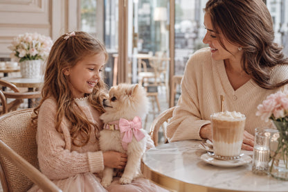Chic & Sweet – Das stylische Geschirr-Set für deinen Liebling
