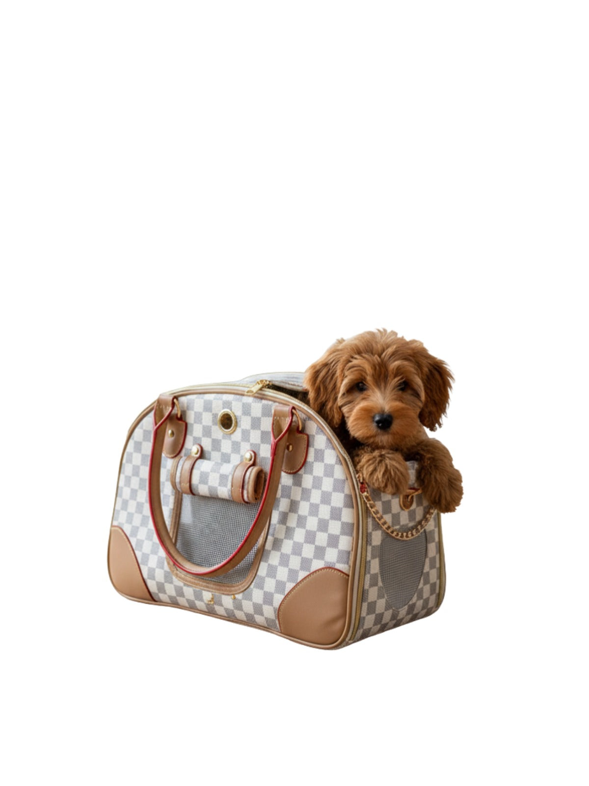 Hundetasche „City Chic“ – Stilvoll unterwegs mit deinem Liebling