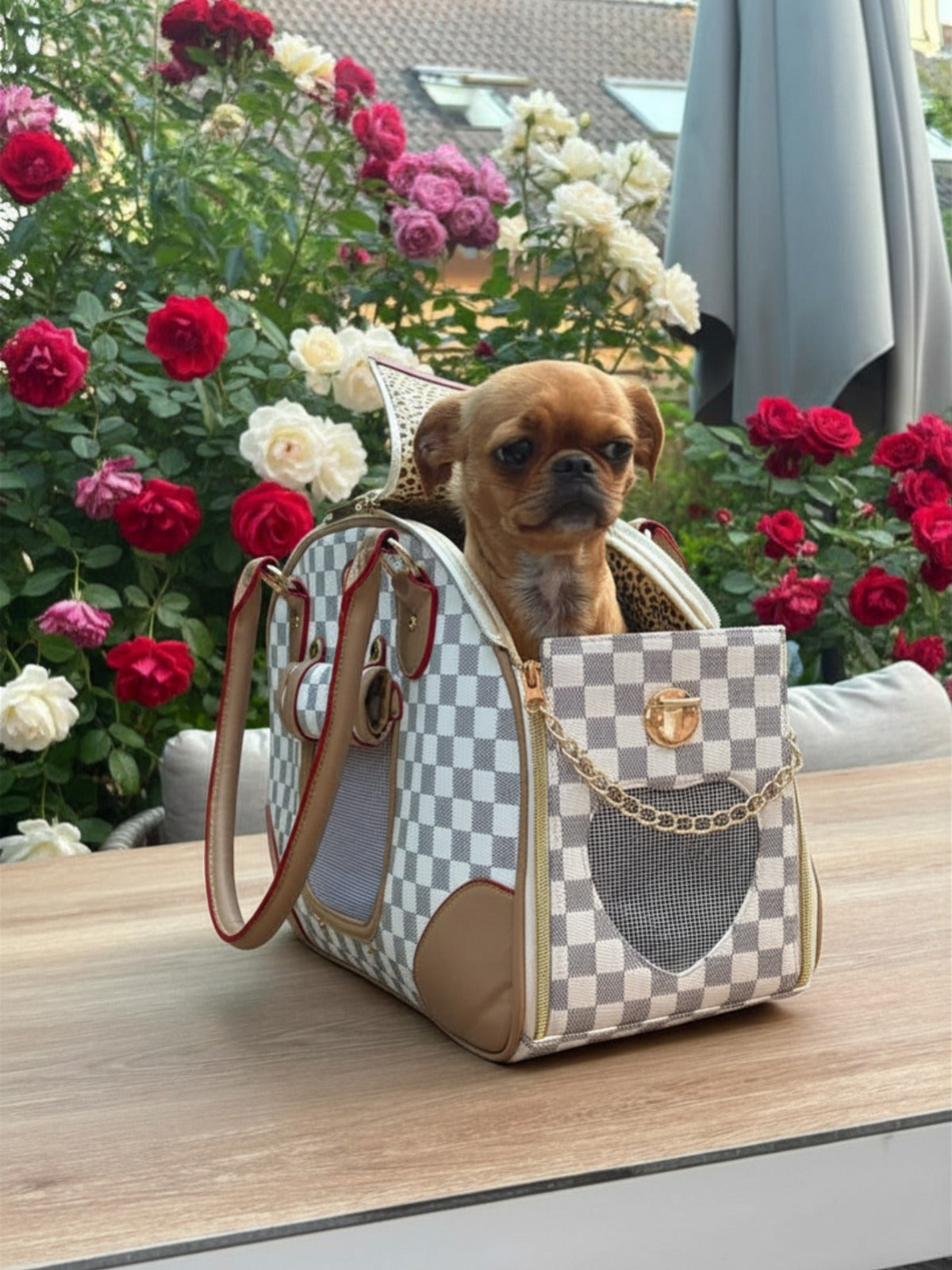 Hundetasche „City Chic“ – Stilvoll unterwegs mit deinem Liebling