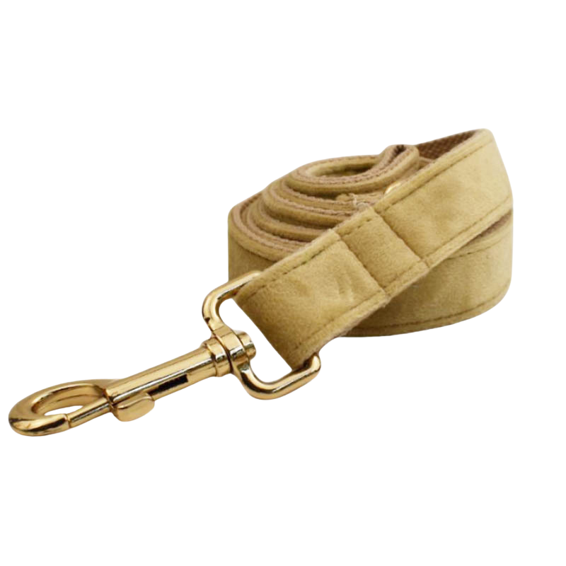 Velvet Edition: Edles Samtset für kreative Hunde-Outfits