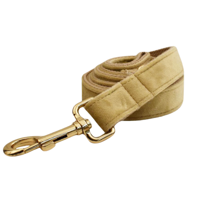 Velvet Edition: Edles Samtset für kreative Hunde-Outfits